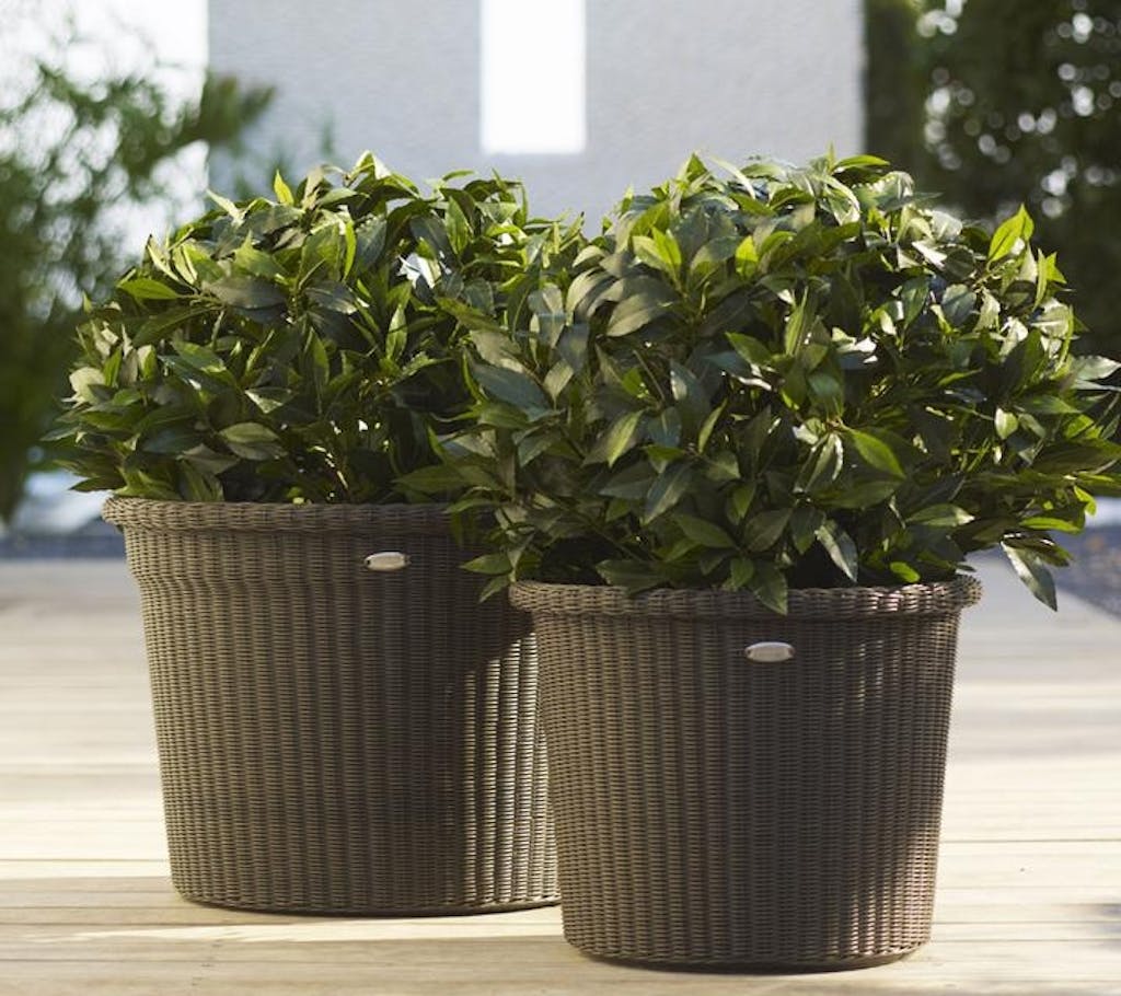 blomsterkrukke altan terrasse have sort blomsterkrukke altan terrasse have sort