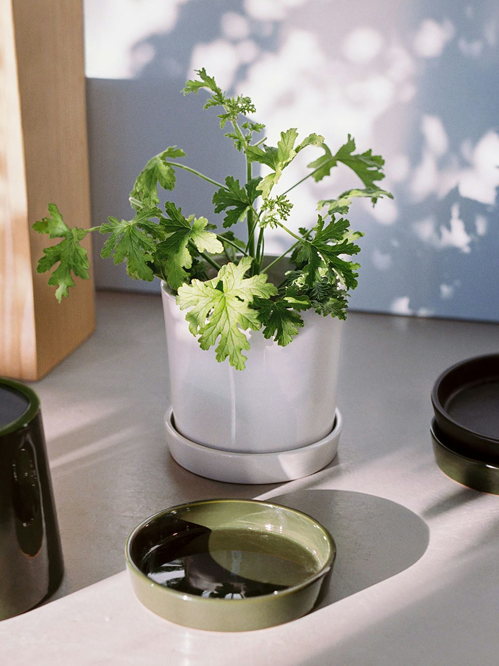 Terracotta Flower Pot Terracotta Flower Pot