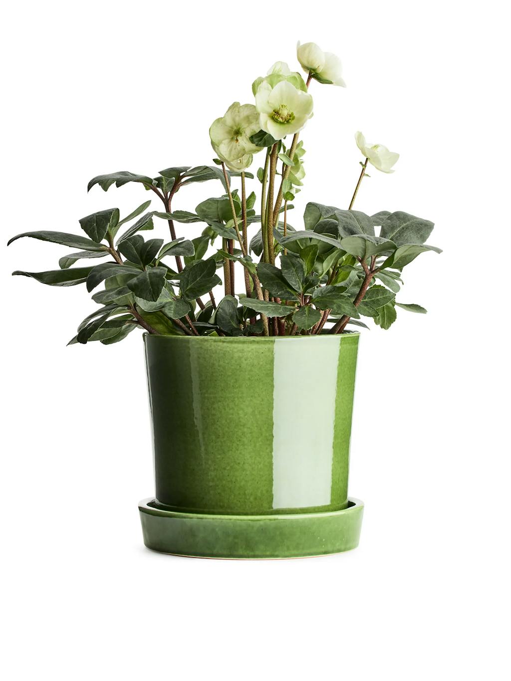 Arket 3/4 Terracotta Flower Pot