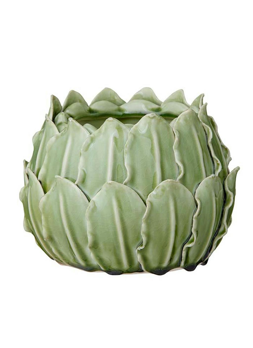 Leaf Flower Pot Grass Green