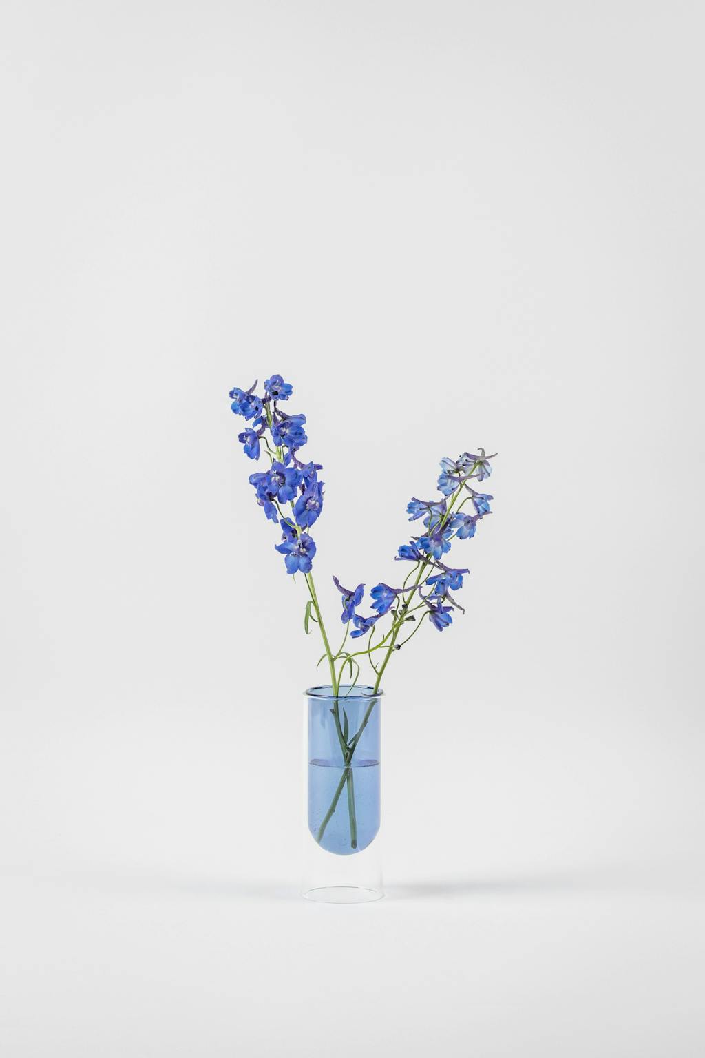 glas vase farvet blå