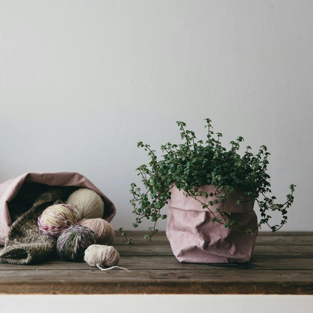 papirspose potteplante