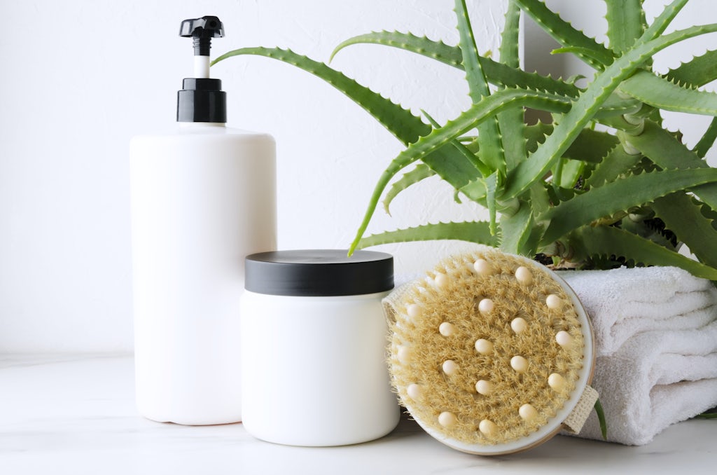 Aloe Vera Aloe Vera plante til badeværelset