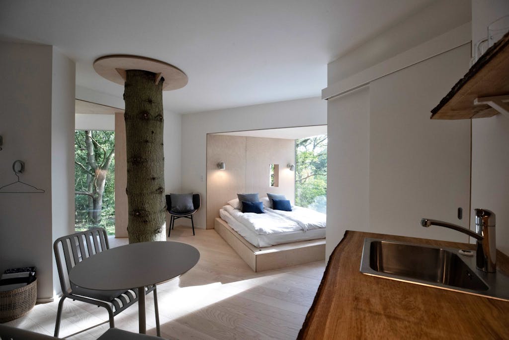 Løvtag trætophotel Mariager Fjord