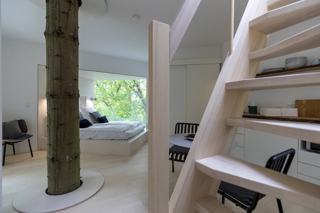 Løvtag trætophotel Mariager Fjord