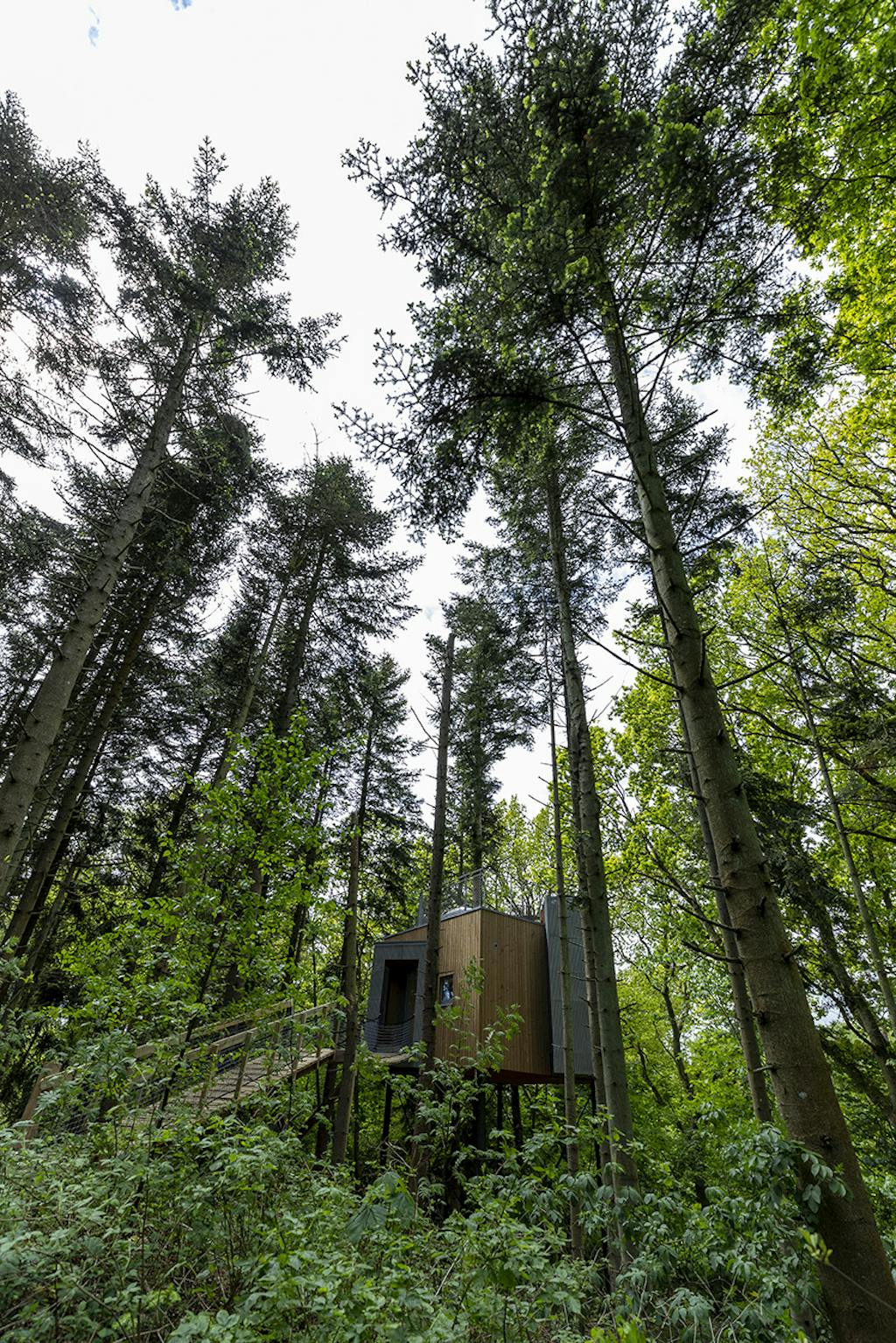 Løvtag trætophotel