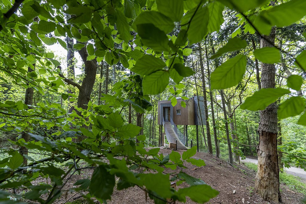 Løvtag trætophotel Mariager Fjord