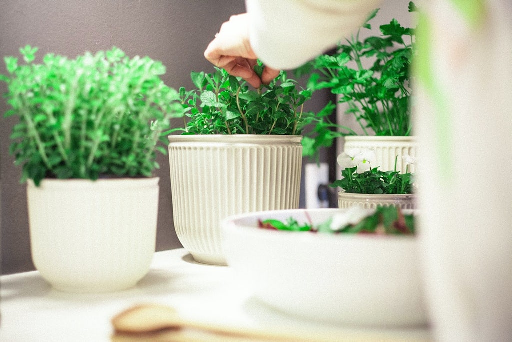 Kähler Hammershøi urtepotteskjuler Greenify planter krydderurter urter køkken køkkenet