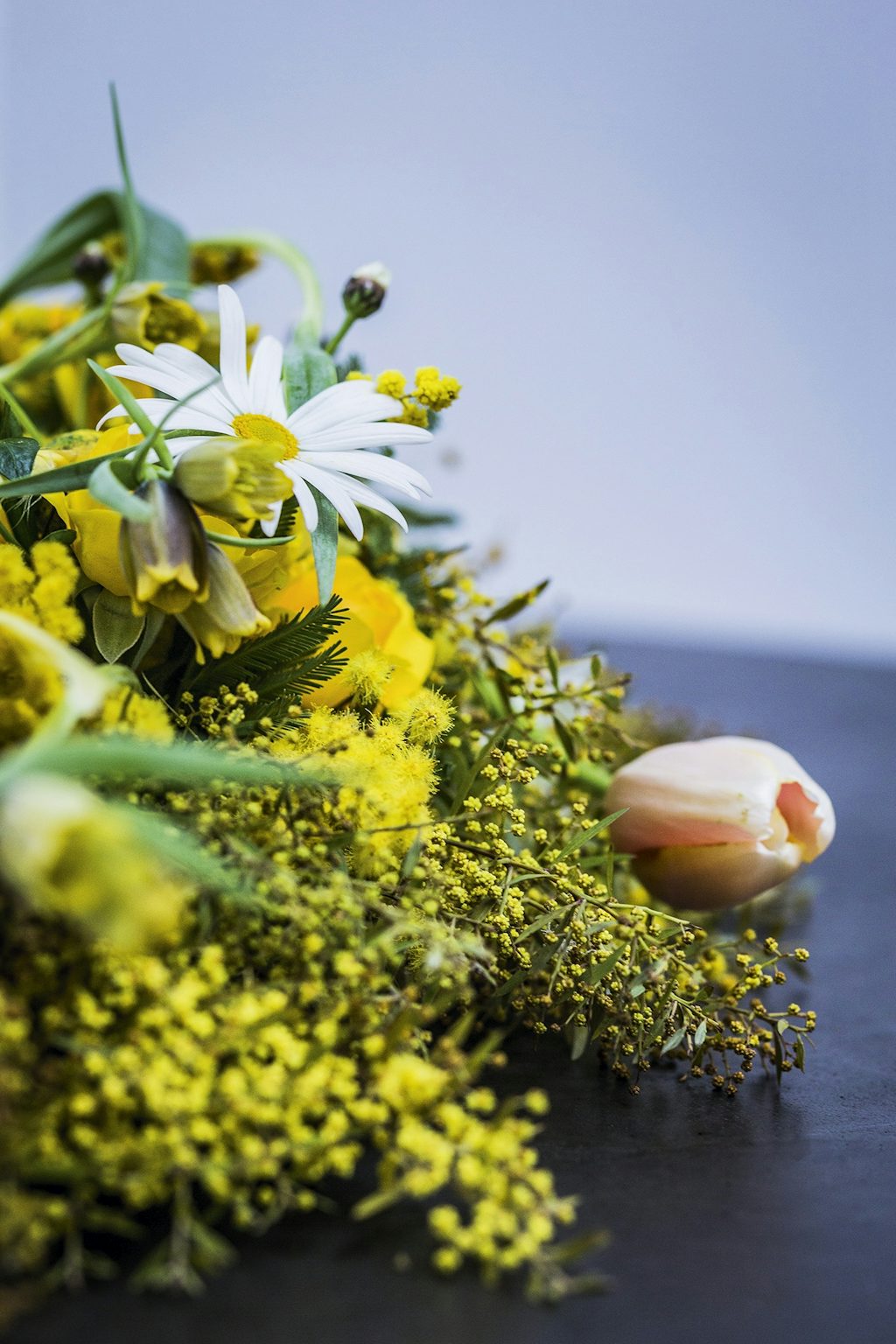 blomster eller blomsterkrans med tulipan