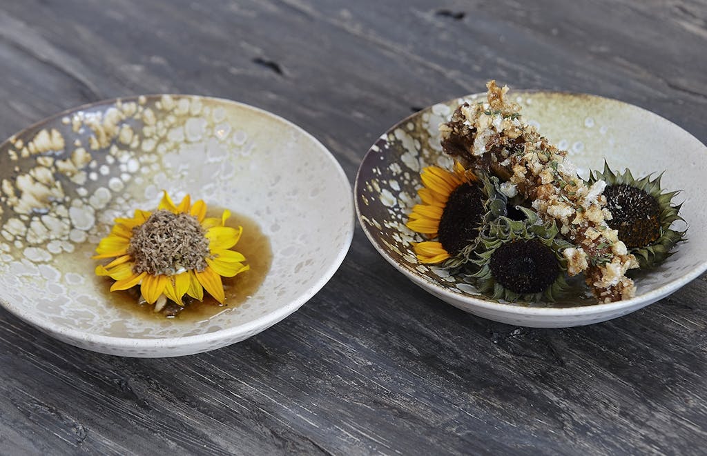 vinderopskrift årets ret med gris flæskesvær svinehaler