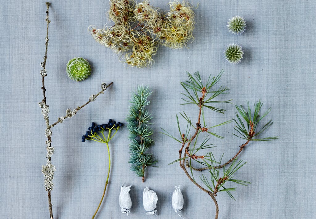 Plantemateriale til fremstilling af adventskrans