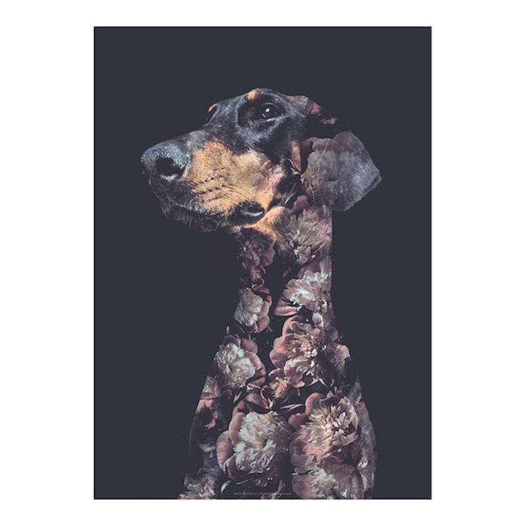 WhatWeDo plakat af hund med grafiske blomster på