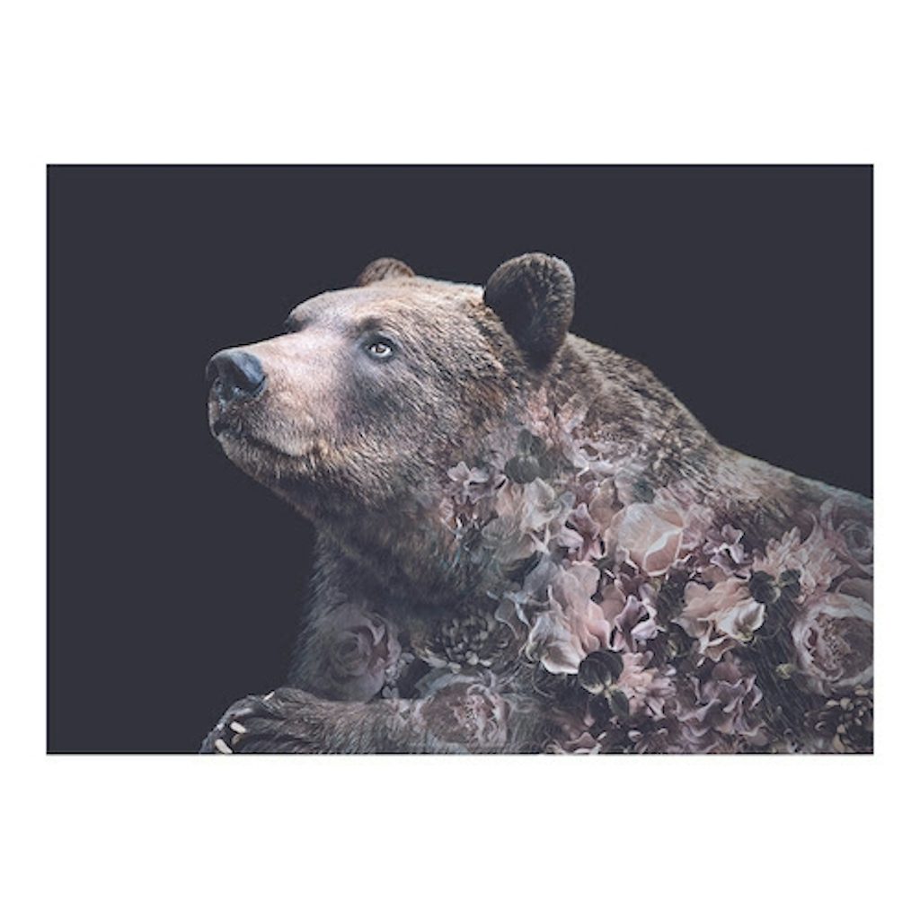 WhatWeDo plakat af bjørn med grafiske blomster på