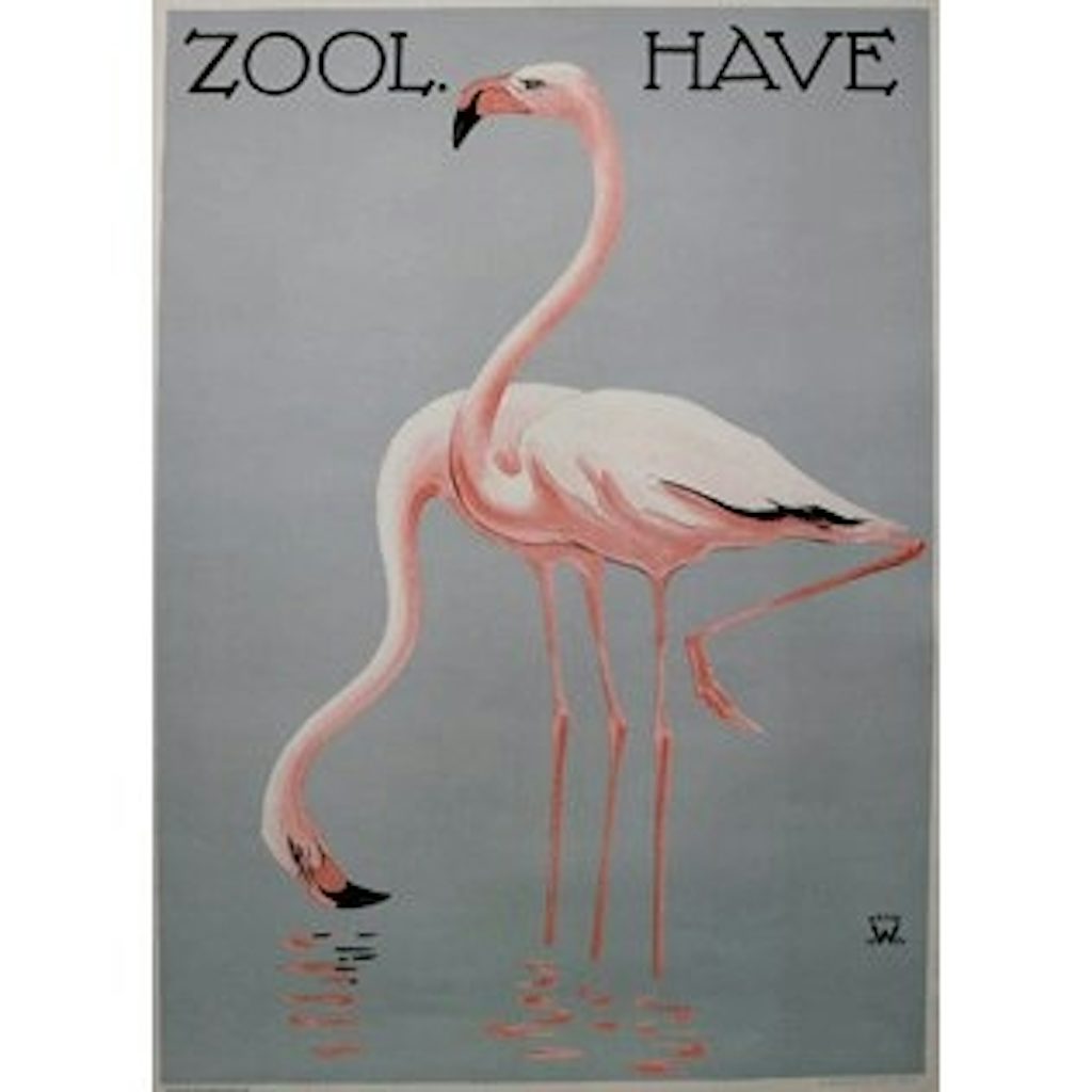 Plakaten plakat af to flamingoer i vandet