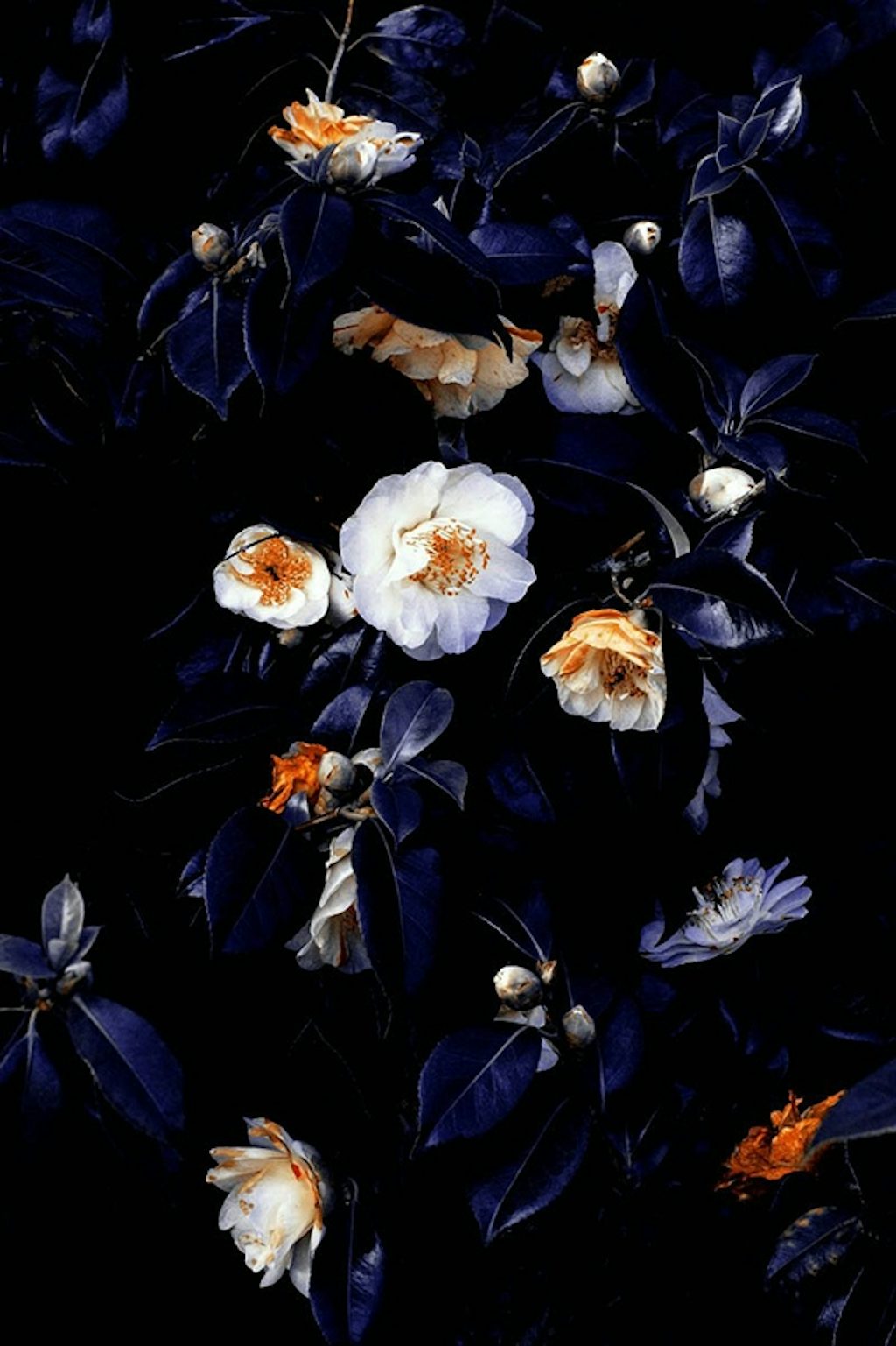 The Wall Market fotokunst af blomster i blå nuancer