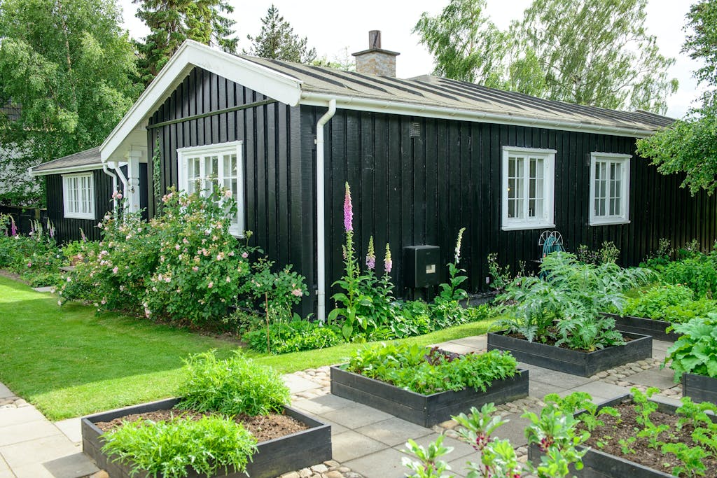 DET SORTMALEDE svenske træhus ligger midt på grunden, og haven omkranser det. Højbedene står skarpe og minimalistiske i dette rum i haven. På modsatte side ses en af de  otte belægninger i haven sammen med tidsler og blomster.