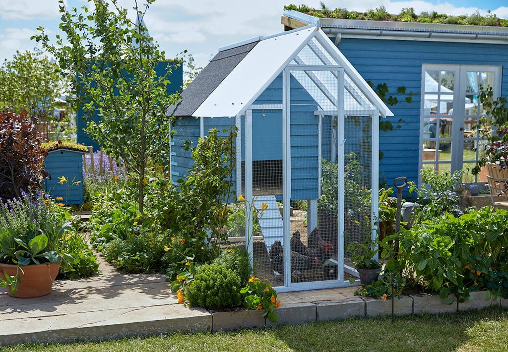 Sølv: Den spiselige have