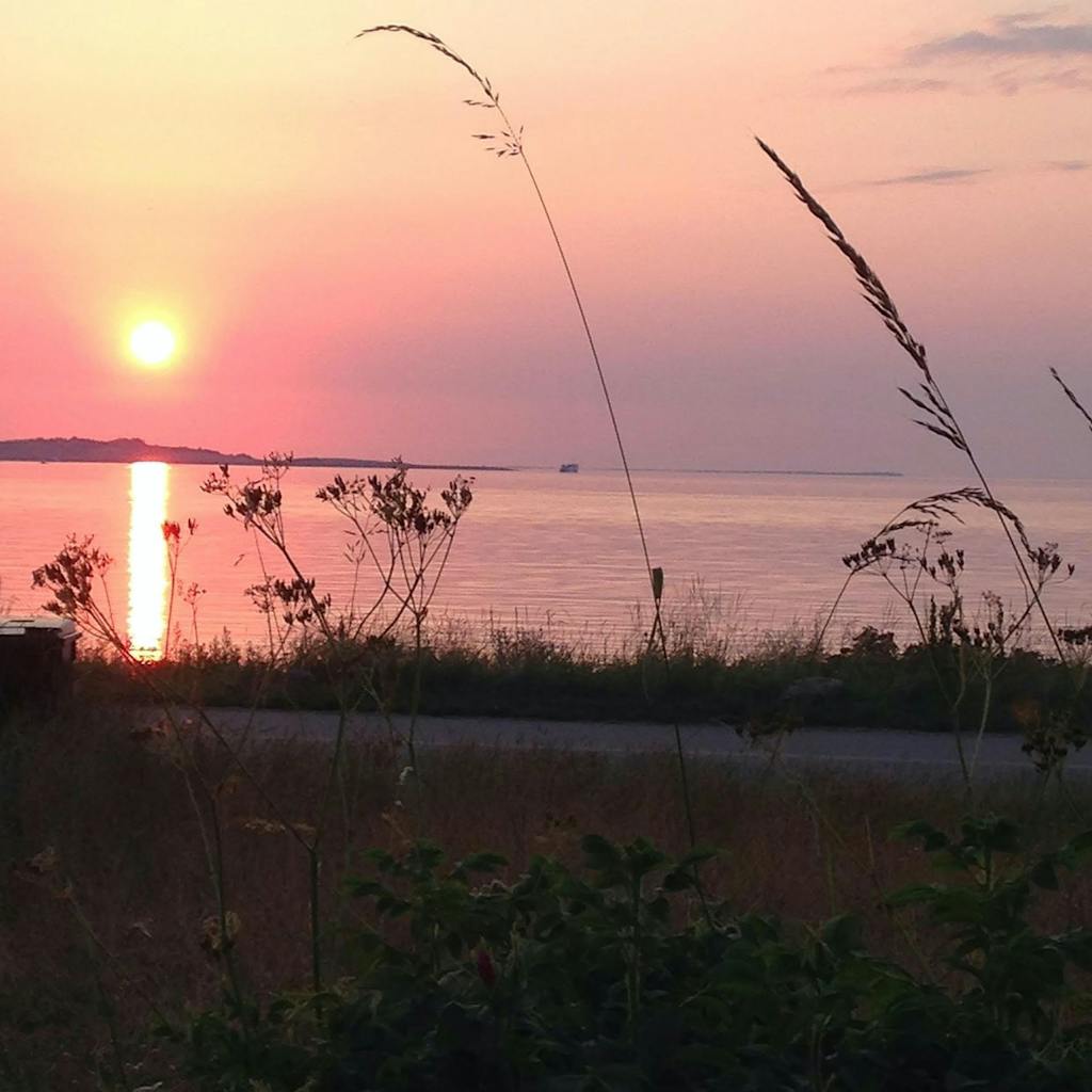 Udsigten fra Erik Juuls eget sommerhus