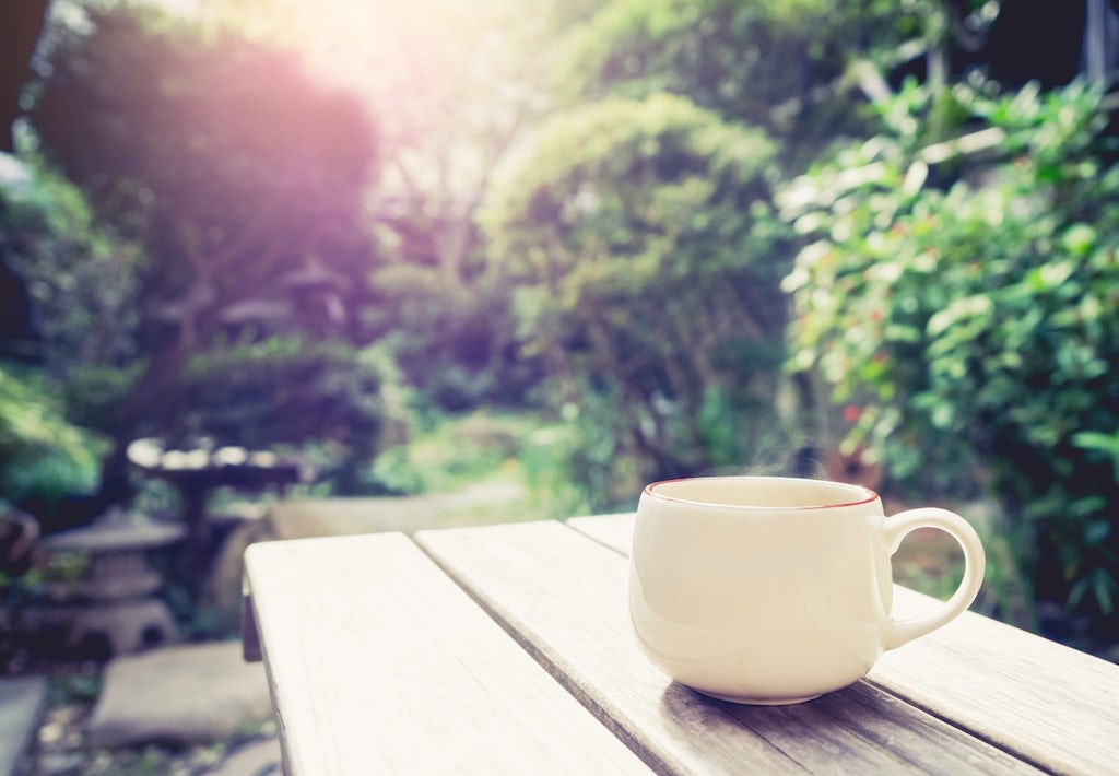 Havetends 2017 Rum i haven, sådan gør du bobedre.dk