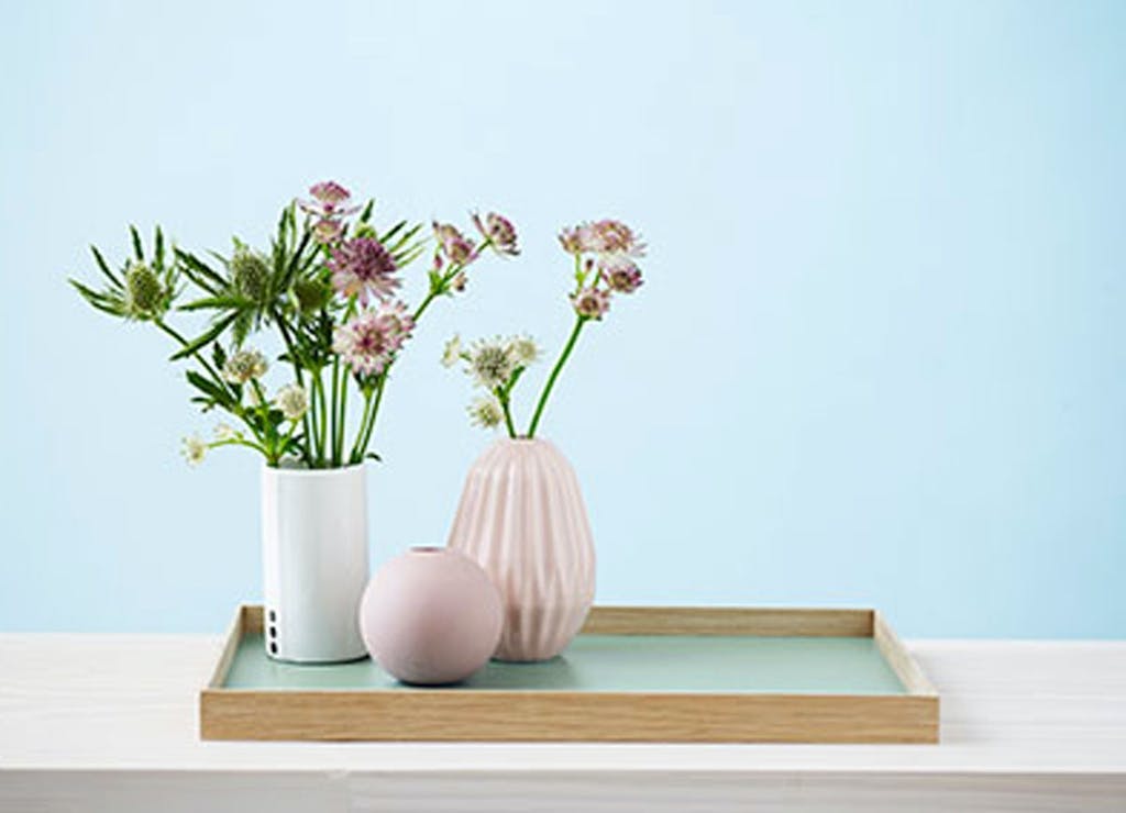 Frame-Bakke fra MUNK