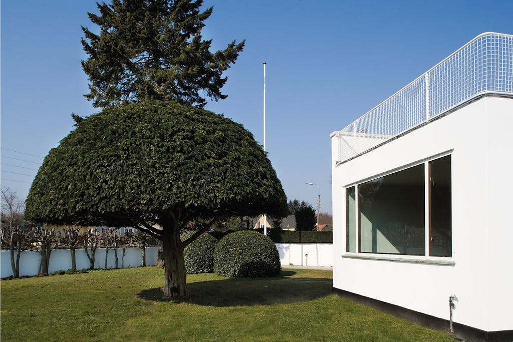 Dagligstuevinduet og det faconklippede træ i have ved Godtfred Rodes Vej 2.