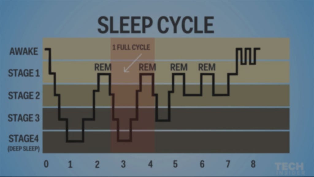 Søvncyklussen med den afbrudte cyklus til sidst på kurven.