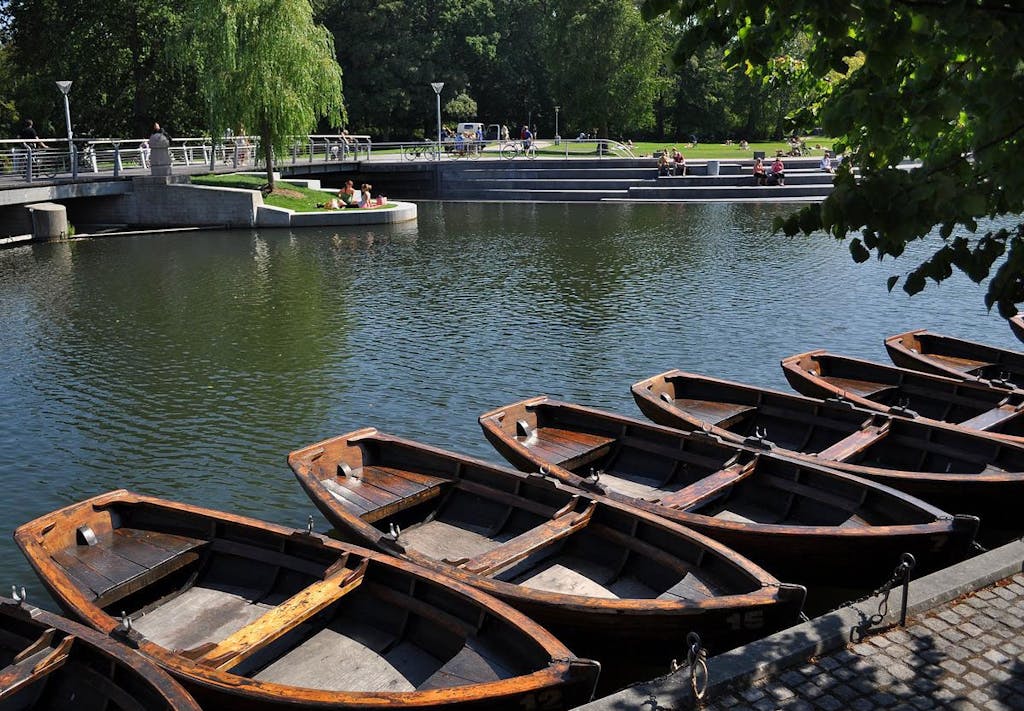 Sommer i Munke Mose Odense
