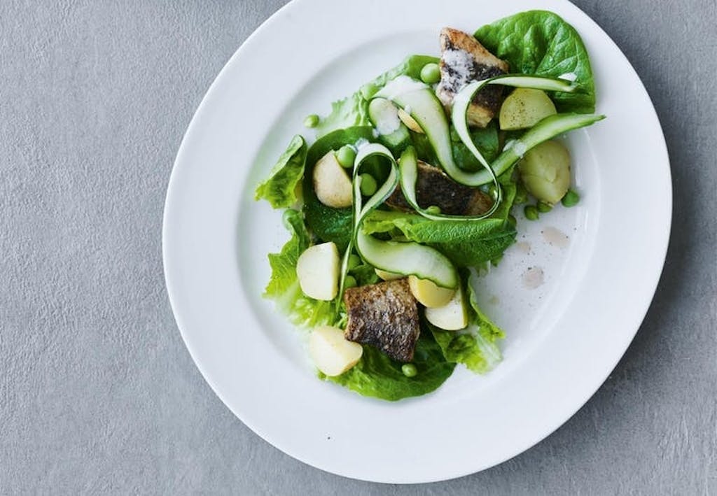 Hornfisk og salat med rabarberdressing