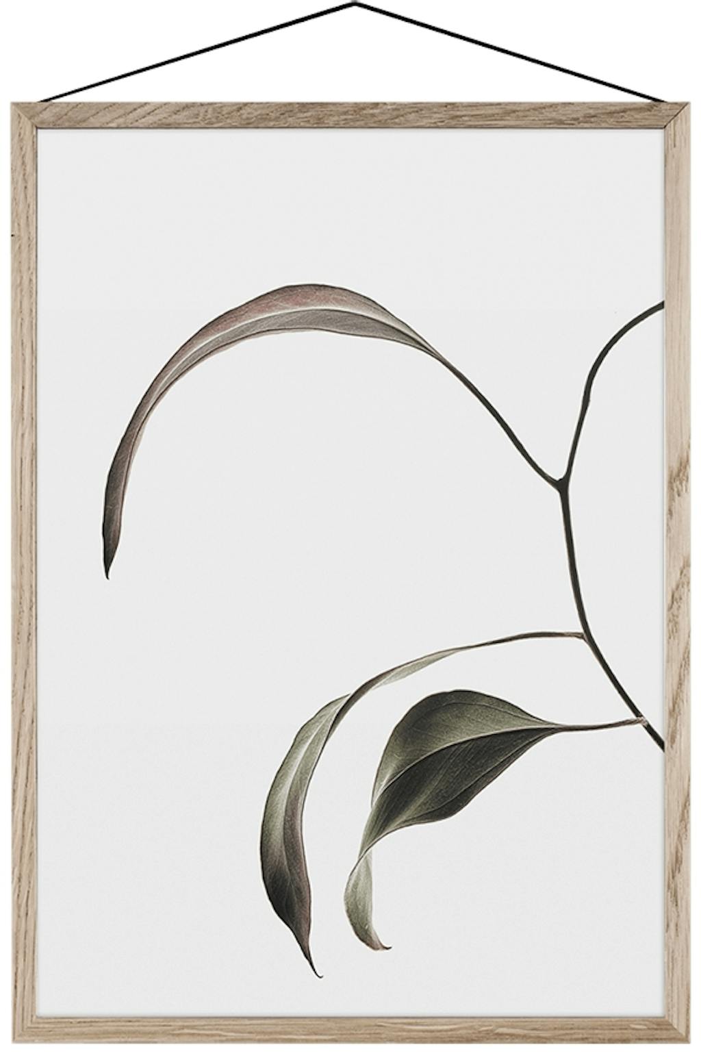 Botanisk poesi på plakat