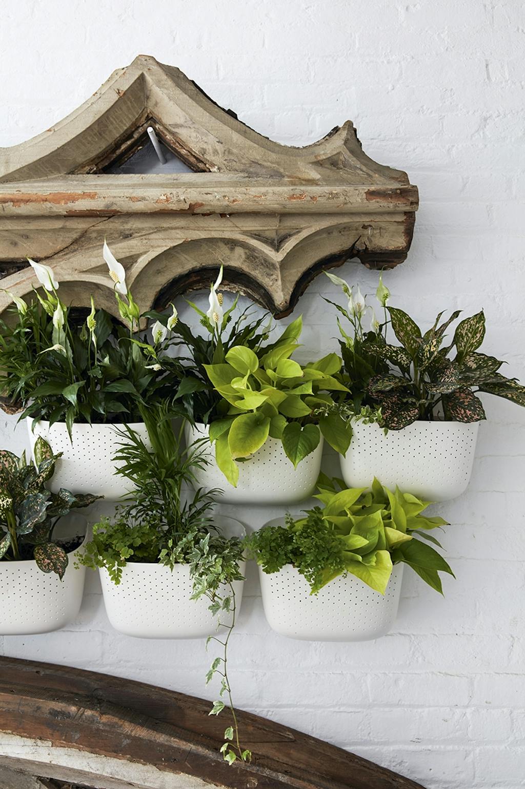 new yorker lejlighed indretning planter