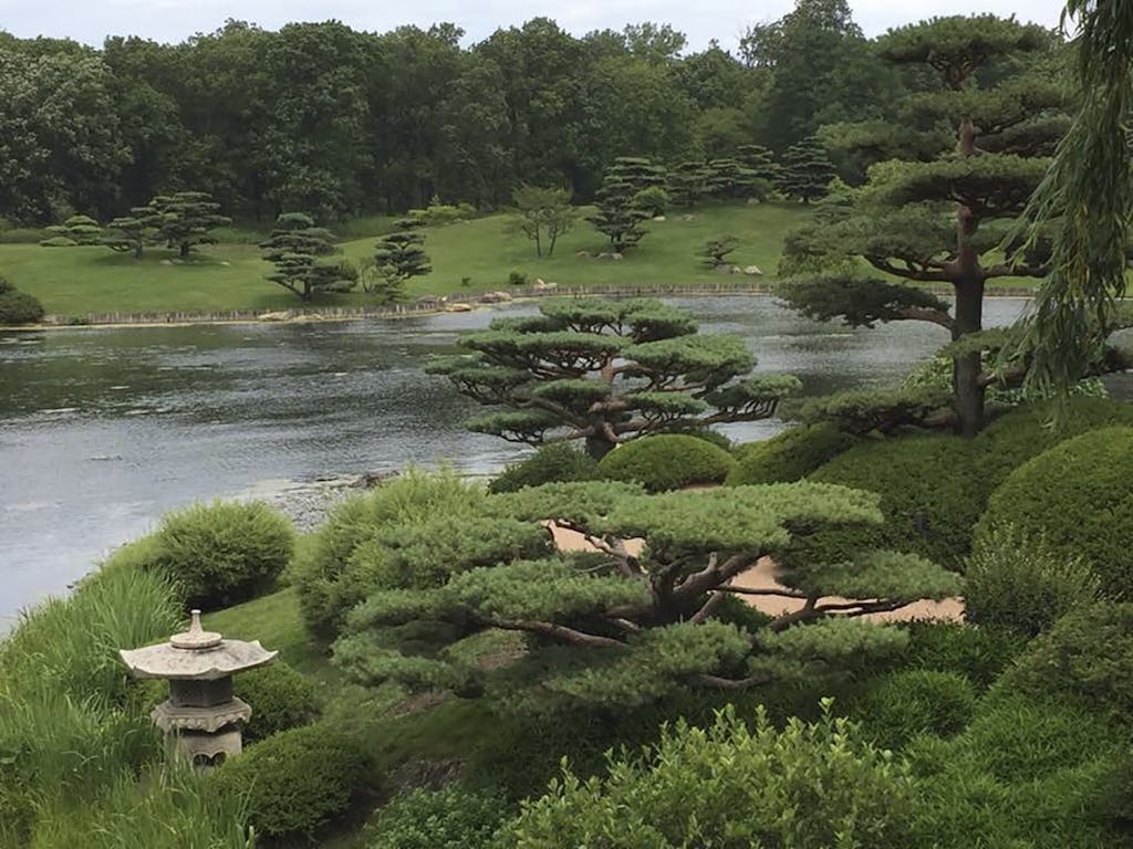 Annette von Einem blomsterbinding blomster chicago botaniske have
