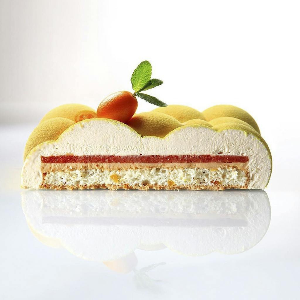 flotte kager mousse abrikos