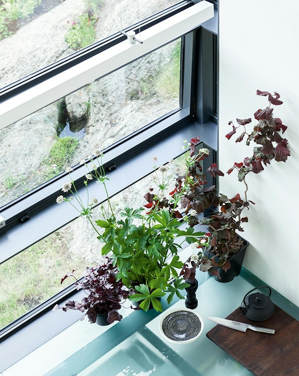 arkitekttegnet hus krydderurter i vindueskarmen