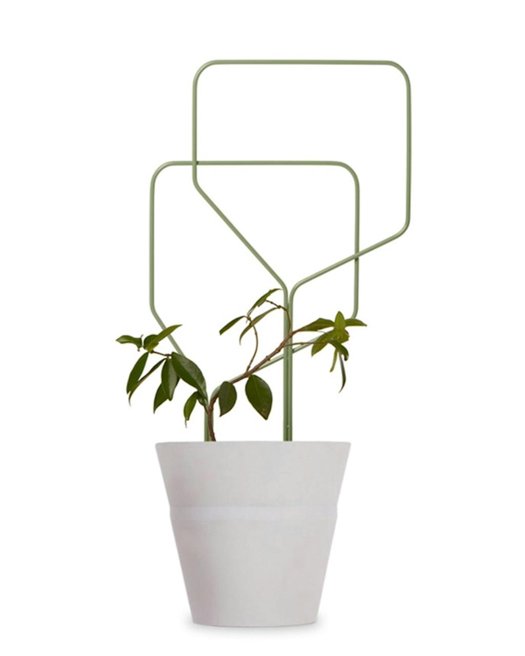 interiør til hjemmet Areastore.dk plante