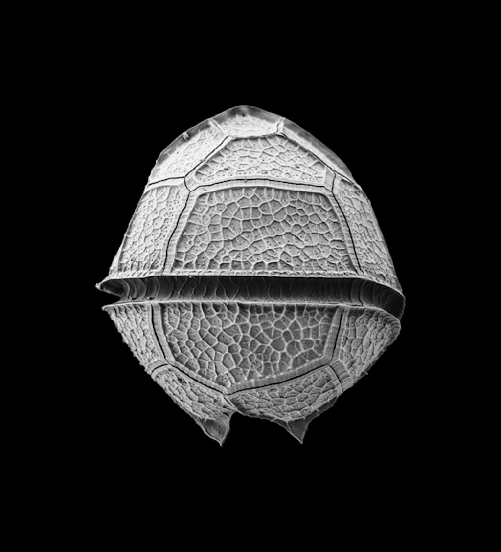 cph art week fotografi