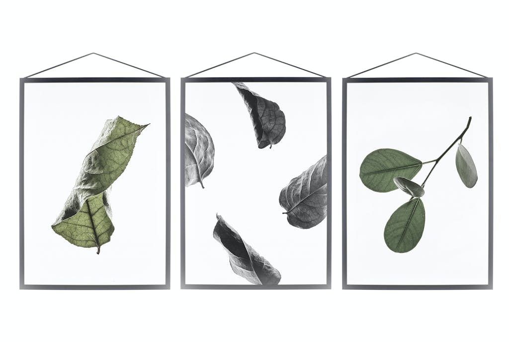 Kollektionen Floating Leaves