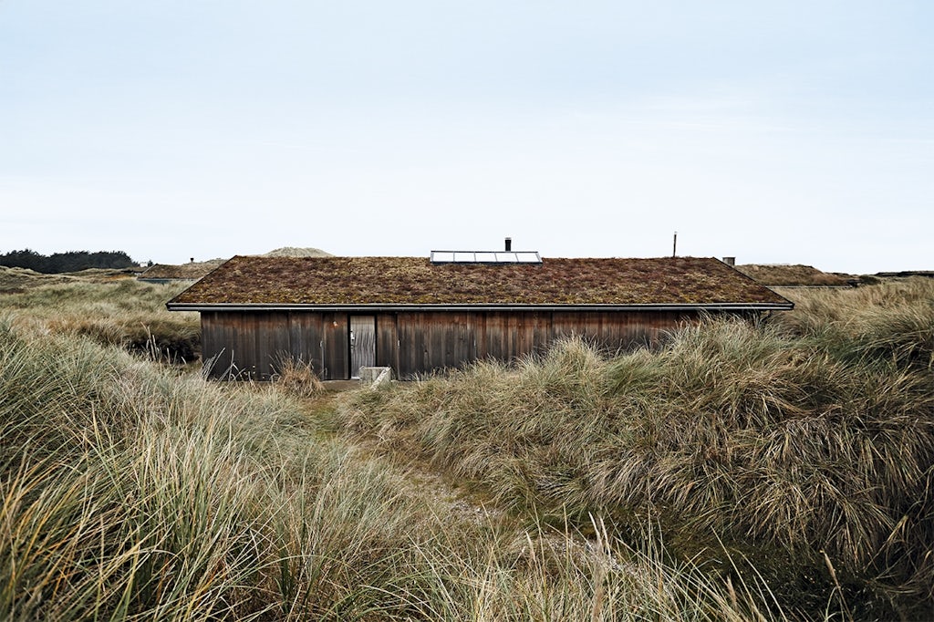 sommerhus natur