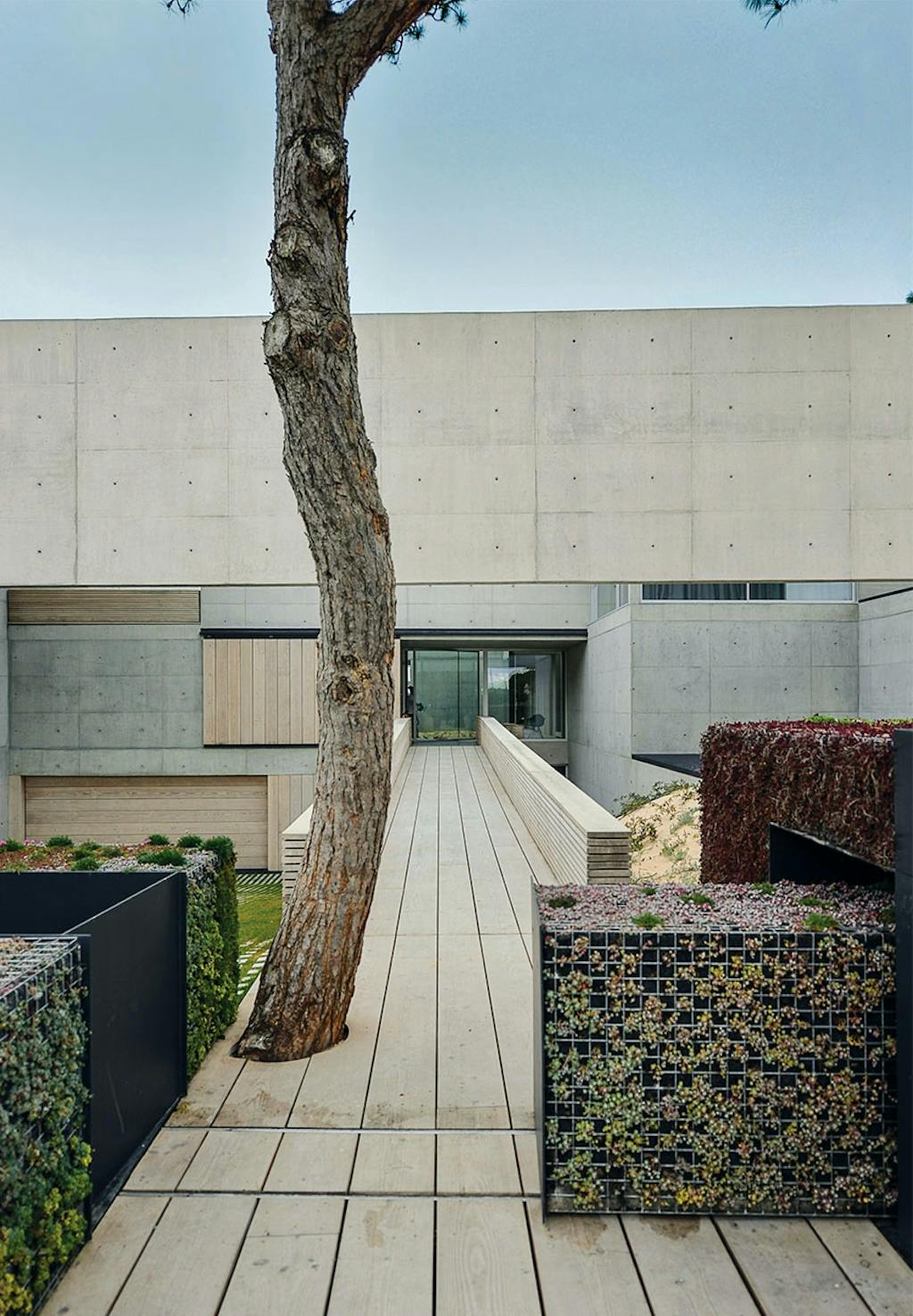 Hovedindgangen til huset med stålkasser med buske i og et bevaret træ midt i gangbroen