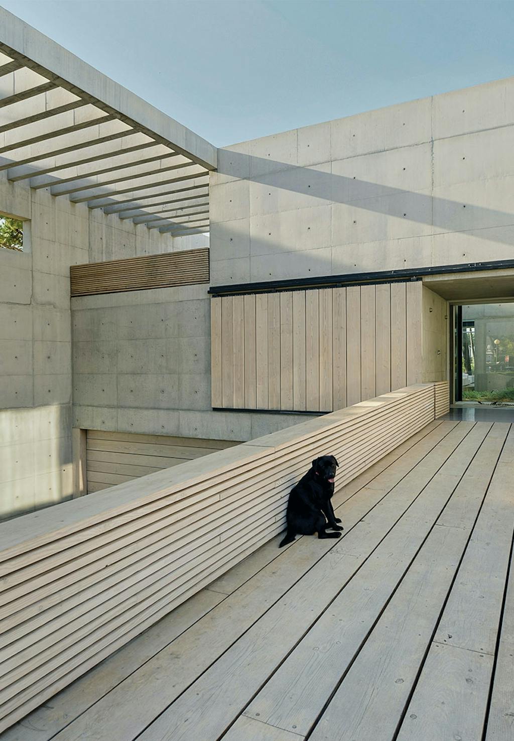 Sort hund siddende på gangbro af lyst træ