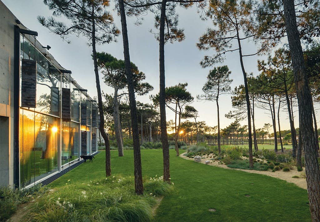 Stor have med græsplæne, træer, buske og sand