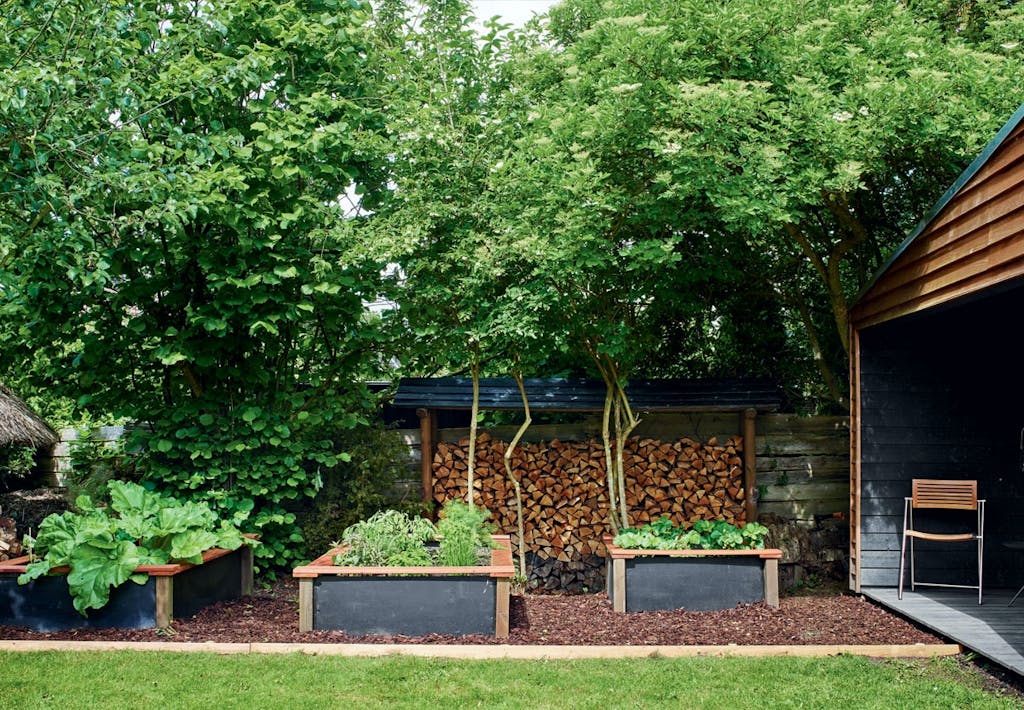 Højbede med urter og rabarber