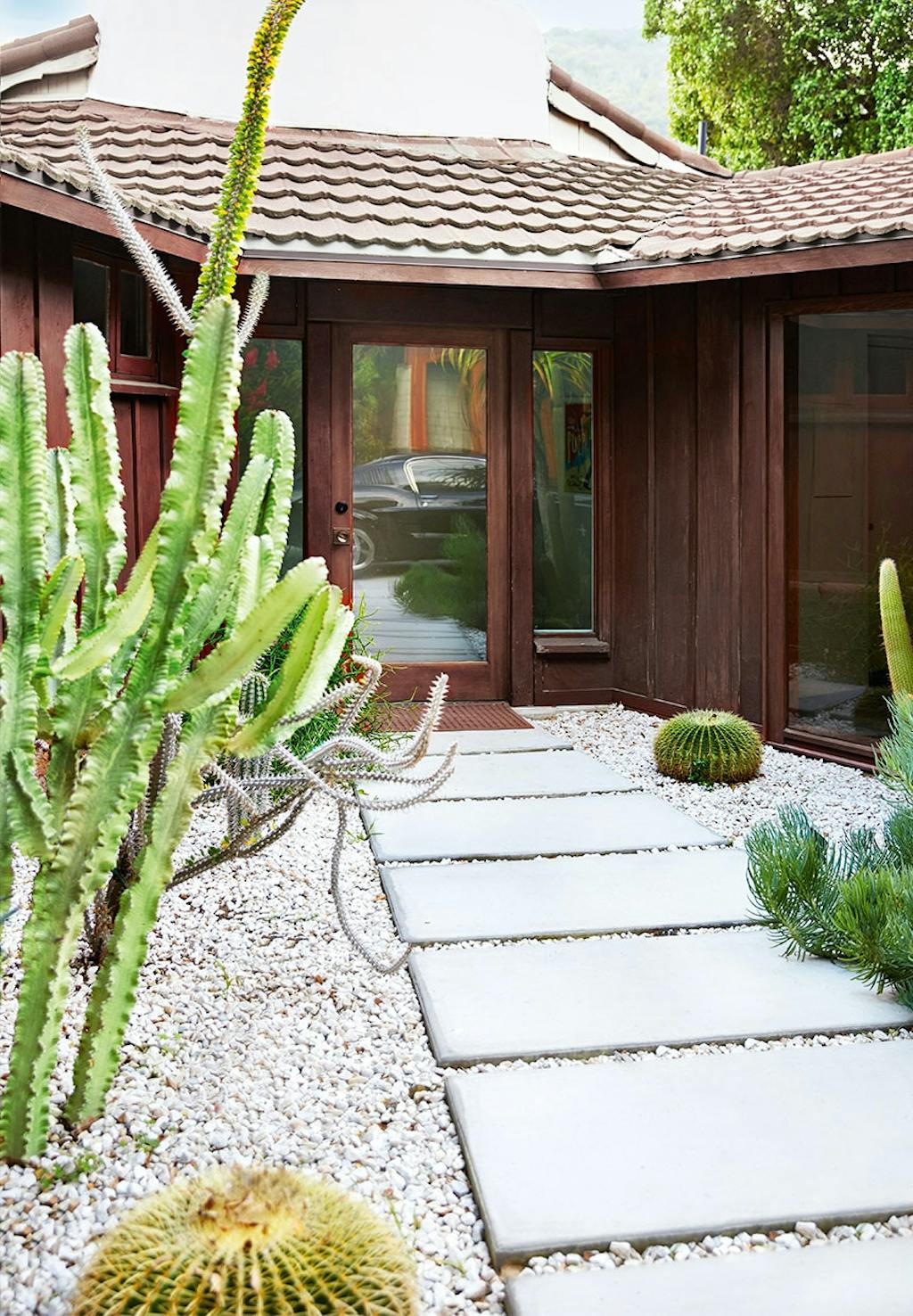 Ved stien op til indgangen er forskellige kaktusser plantet