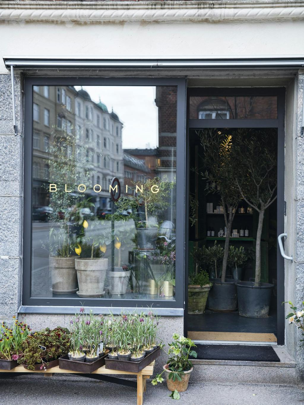BESØG BUTIKKEN BESØG BUTIKKEN