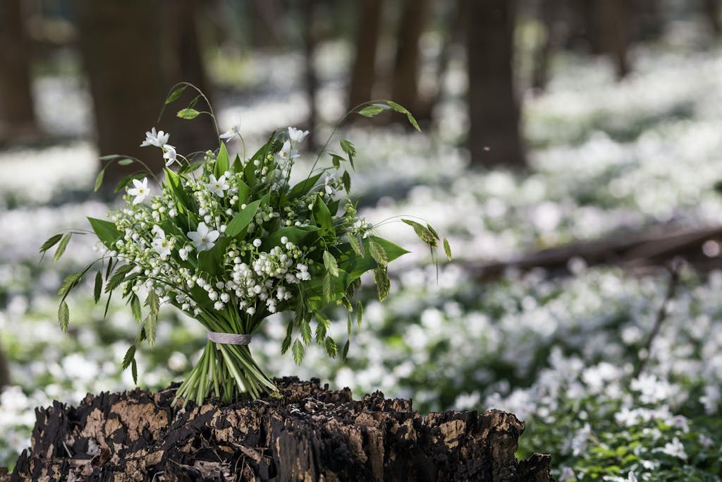 HVID FORÅRSBUKET MED EN SKØN DUFT