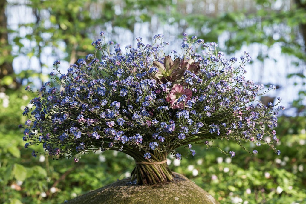 DESIGNERENS FORÅRSFAVORIT