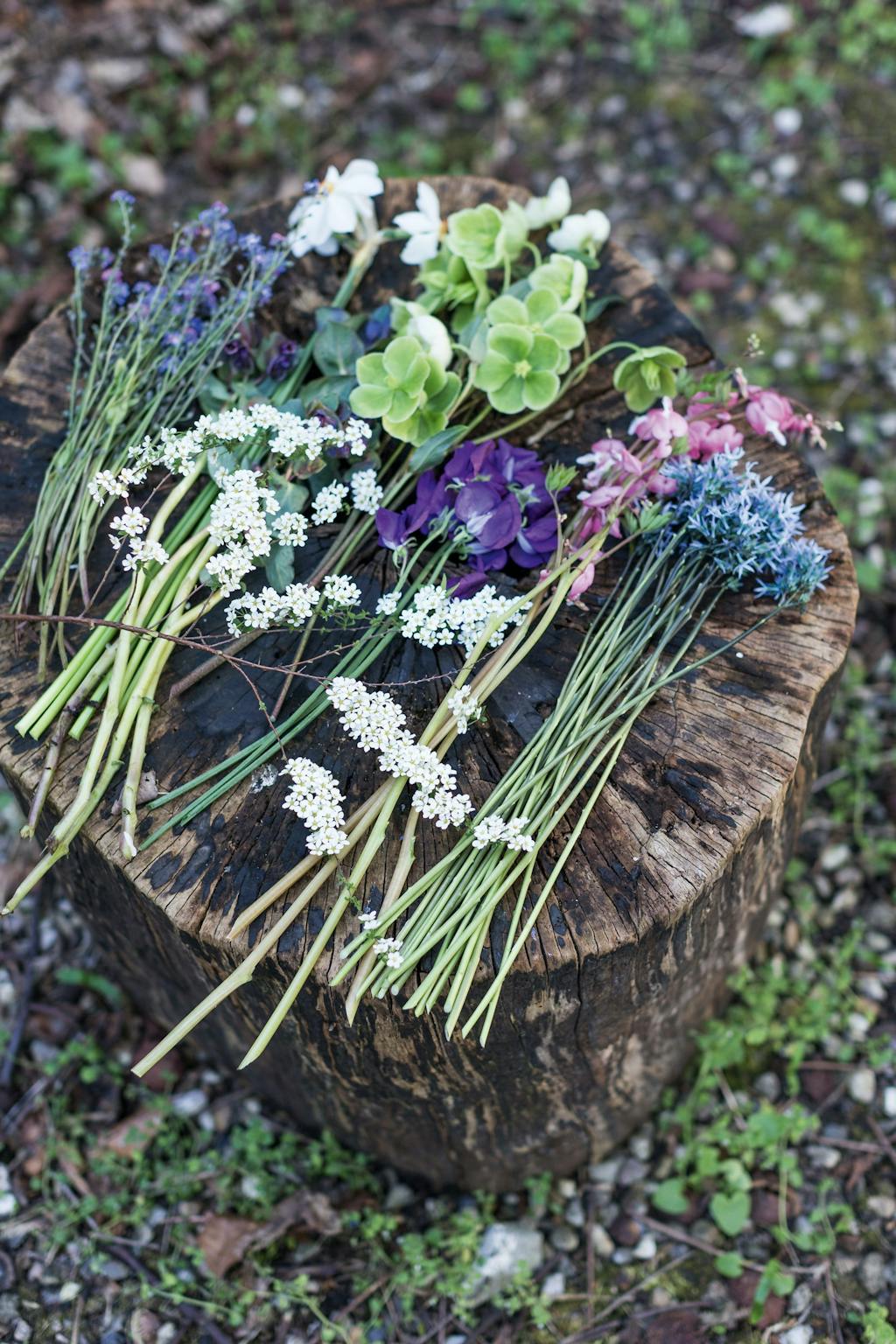 SÅDAN FORLÆNGER DU BLOMSTERNES LEVETID