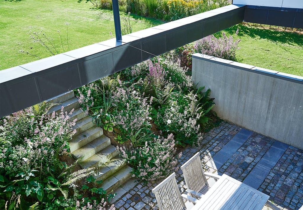 Vild beplantning med farvemiks