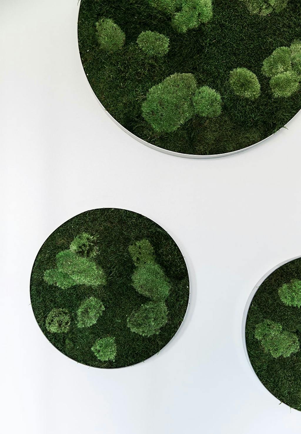 Mos på badeværelset