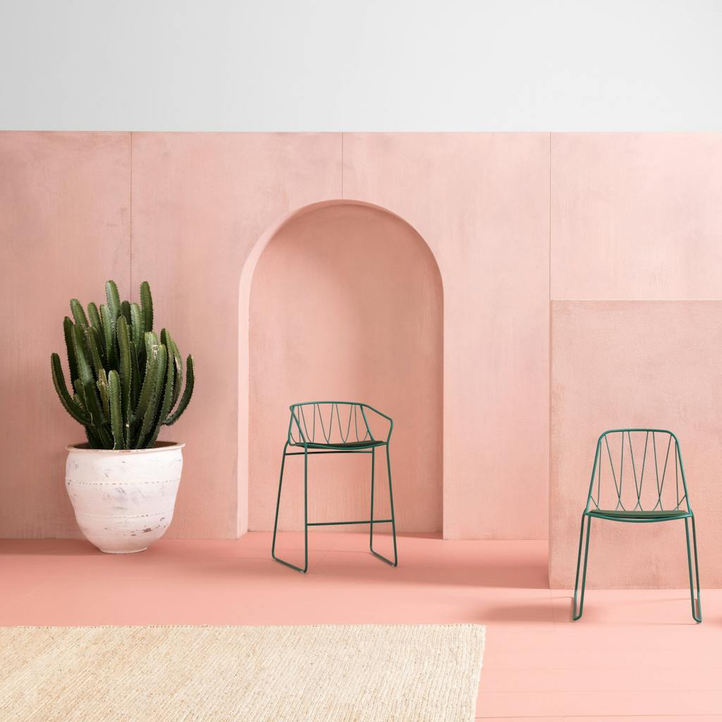 Udendørs liv fra Sydney