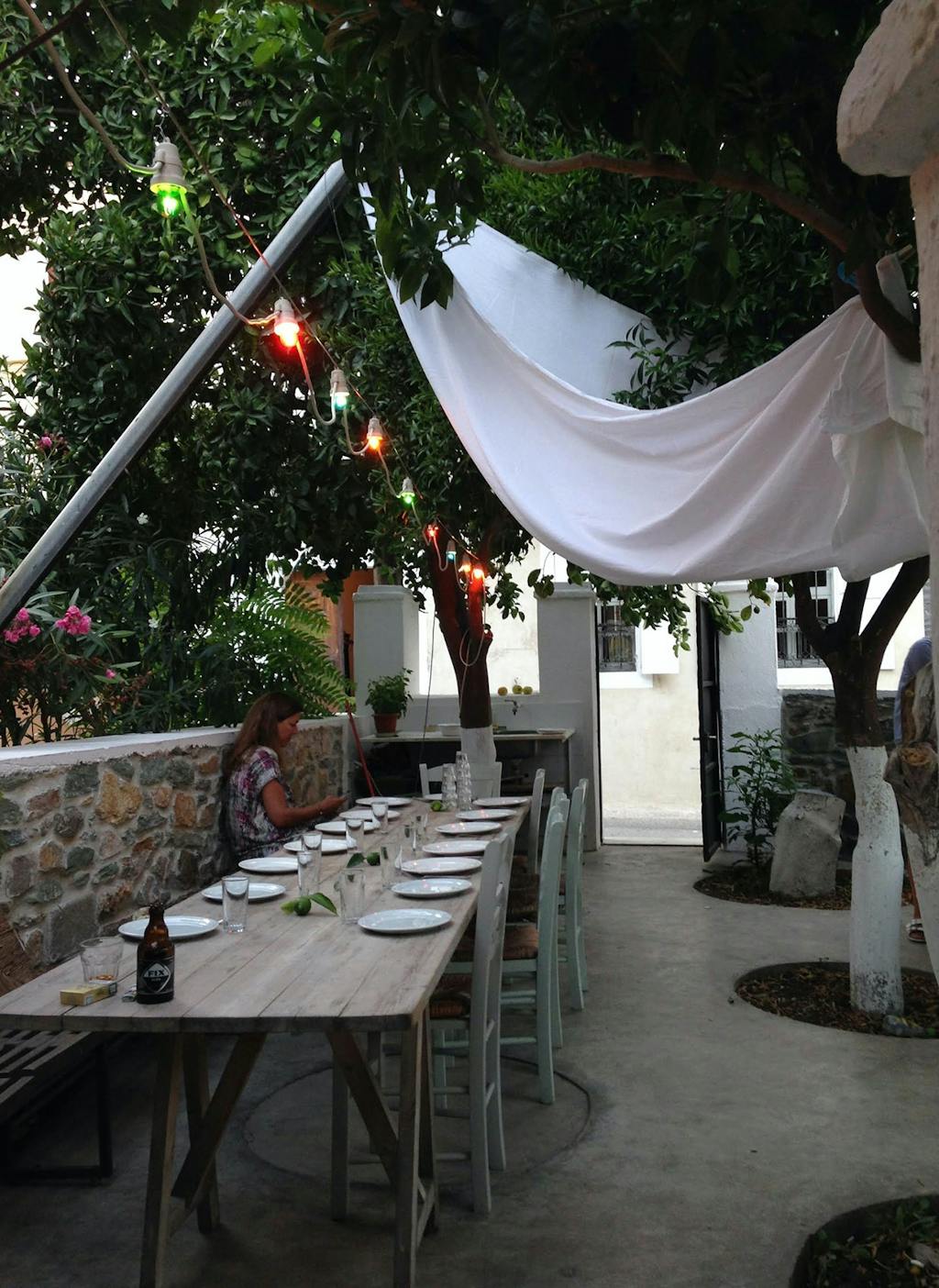 Fællesbordet i appelsinlunden